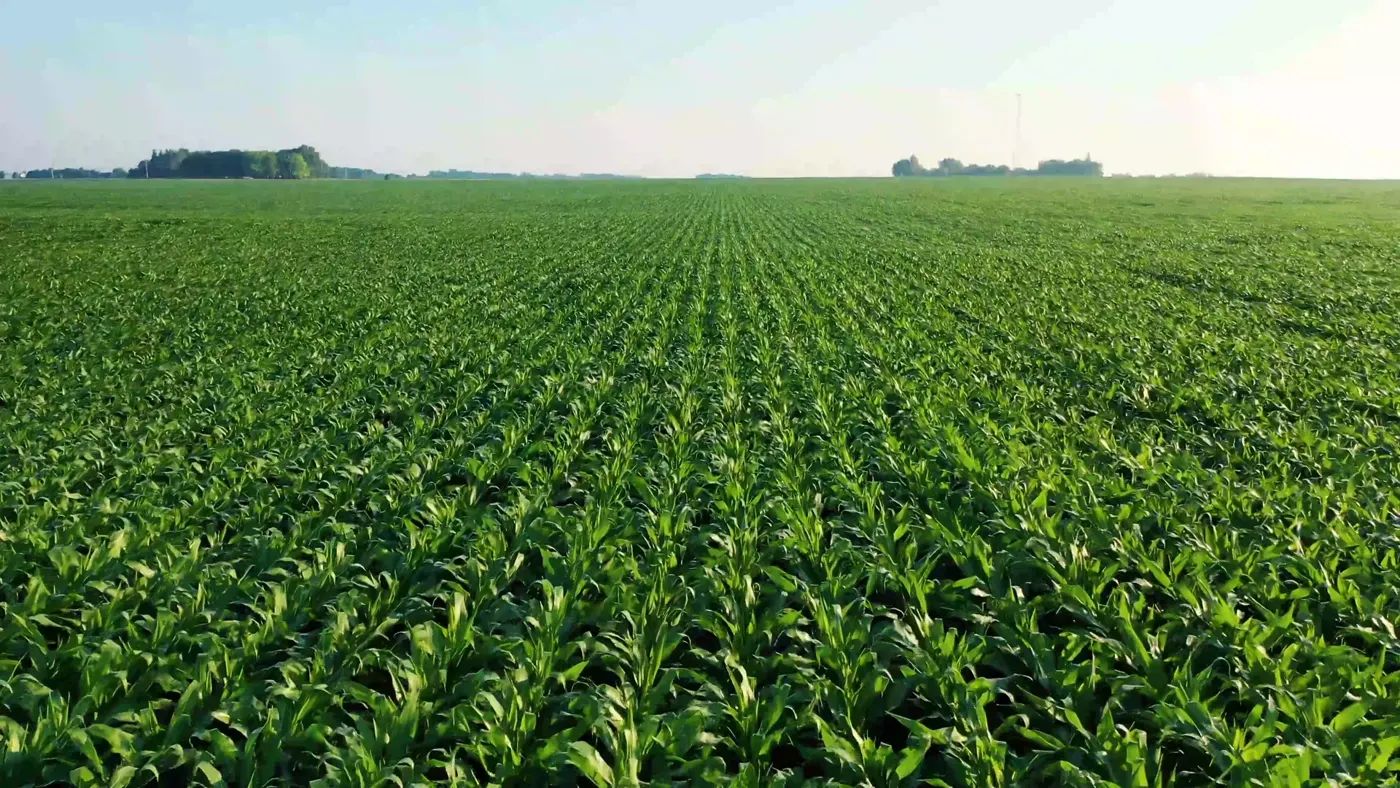 American agricultural fields seen from above